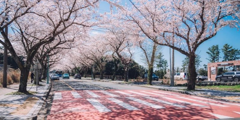 Donghai Airlines Jeju Office in South Korea